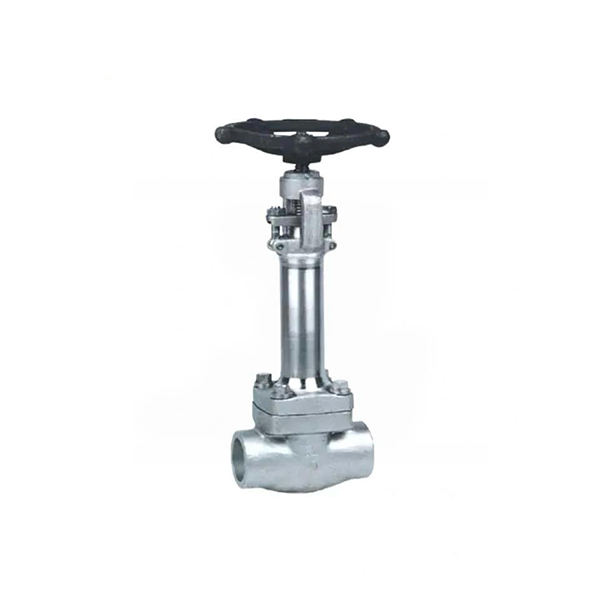 Forged Cryogenic Gate Valve