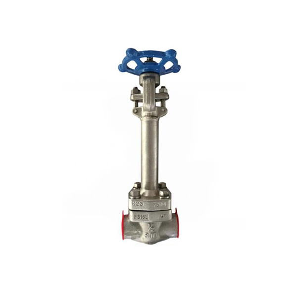 Forged Cryogenic Gate Valve