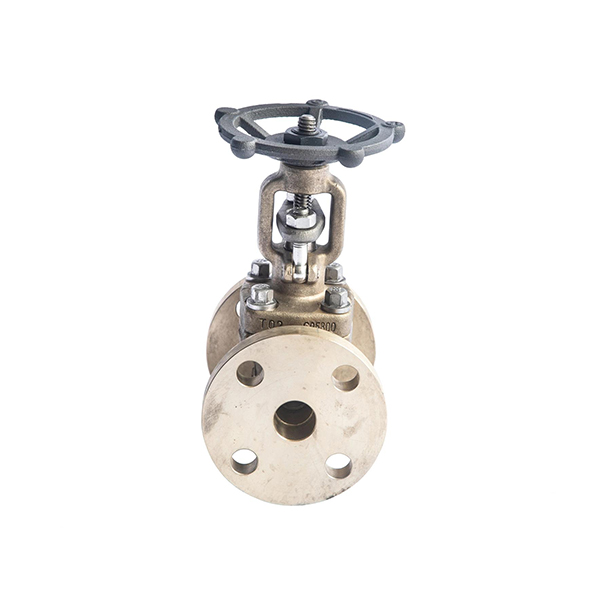 Forged Bronze Gate Valve