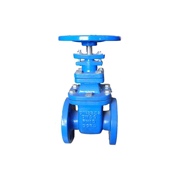 Flanged End Gate Valve