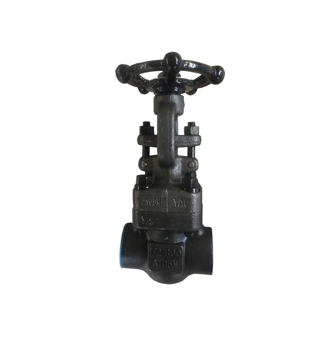 Forged Steel Gate Valve