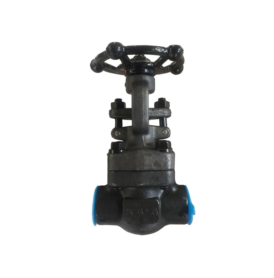 Forged Steel Gate Valve