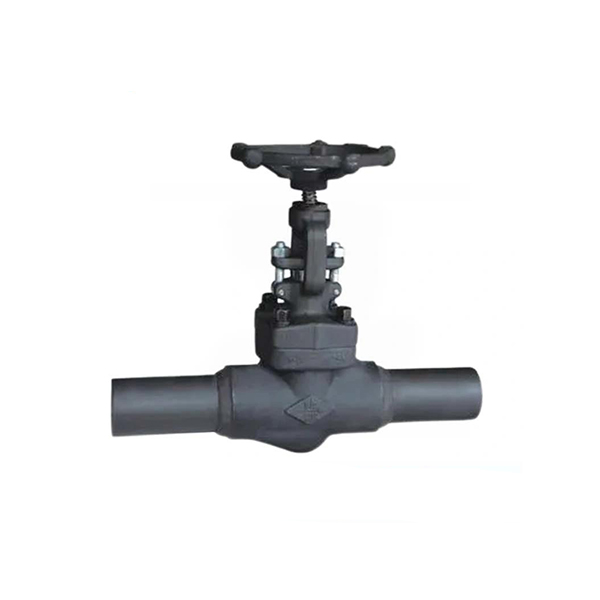 Extended Body Gate Valve