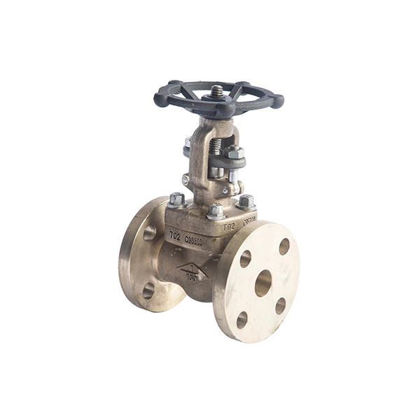 Forged Bronze Check Valve