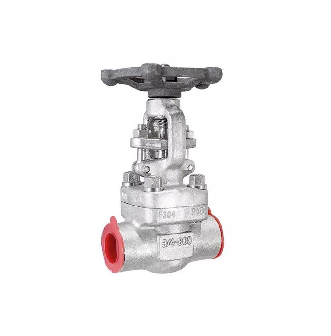 Forged Stainless Steel Gate Valve