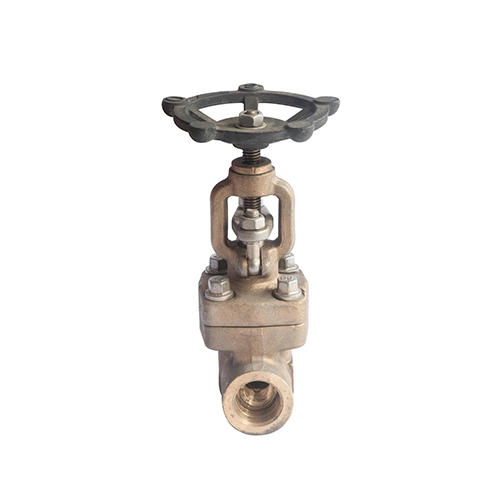 Forged Bronze Globe Valve