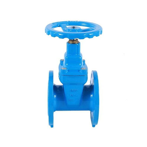 Cast Iron Gate Valve