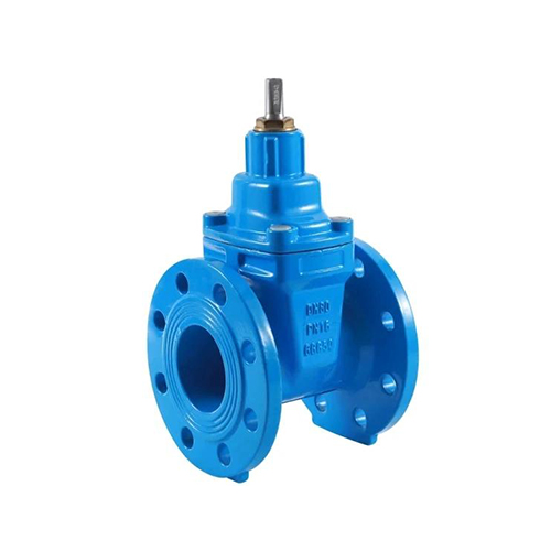 Cast Iron Gate Valve