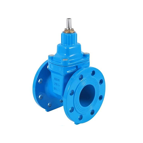 Cast Iron Gate Valve